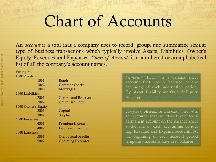 charter of accounts template